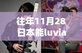 揭秘，往年11月28日Luvian的最新动态与探索进展