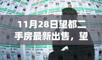 11月28日望都二手房市场深度洞察，最新房源出售及市场新篇章回顾