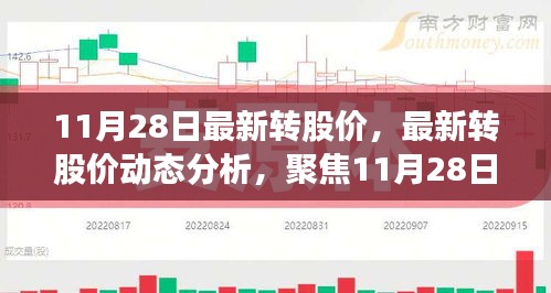 聚焦11月28日股市动态，最新转股价分析与投资者观点解析