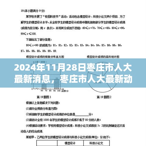 枣庄市人大最新动态速递，聚焦三大要点（附详细解读）