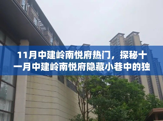 十一月中建岭南悦府探秘，隐藏小巷的独特小店成新热门