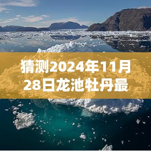 探秘牡丹秘境，预测2024年龙池牡丹最新消息大猜想揭秘！