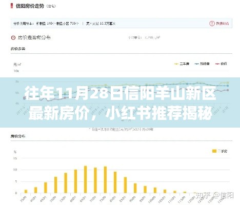 揭秘往年11月28日信阳羊山新区房价走势，最新房价与小红书推荐指南