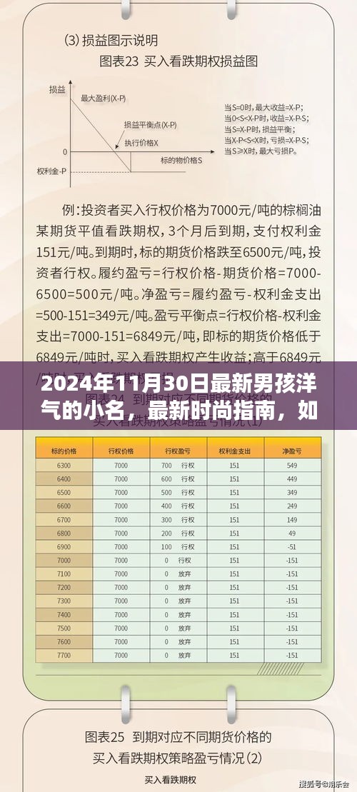 2024时尚指南，男孩洋气小名精选，起名灵感大揭秘