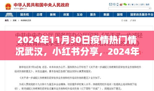 2024年11月30日武汉疫情热门情况深度解析，小红书分享