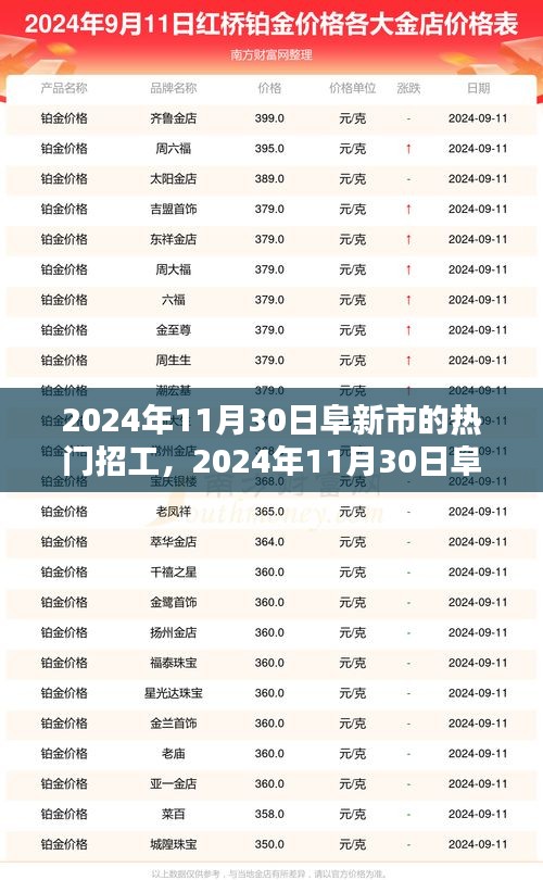 2024年11月30日阜新市热门招工全景解析