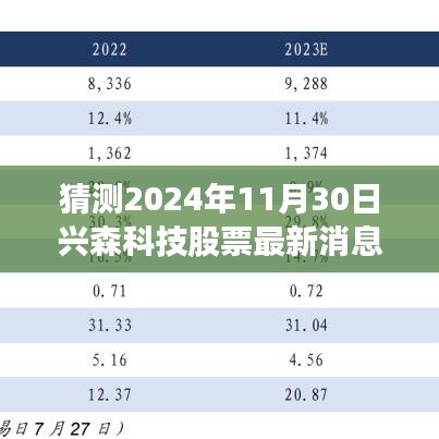 兴森科技股票最新消息展望，行业洞察与未来展望至2024年11月30日