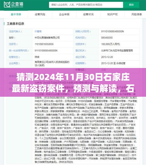 2024年石家庄盗窃案件预测与解读，未来趋势分析及案例探讨