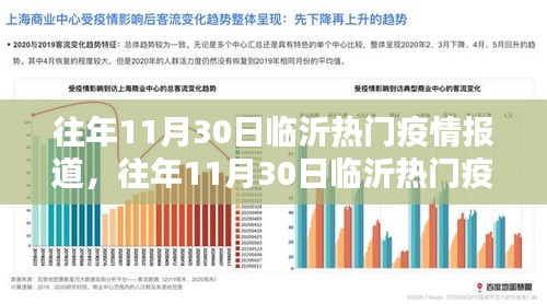 往年11月30日临沂疫情深度报道，入门到精通的全面解析