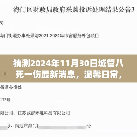 2024年11月30日城管事故最新猜测与日常中的爱与陪伴