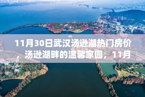 汤逊湖畔的温馨家园，武汉汤逊湖热门房价探秘与友情故事