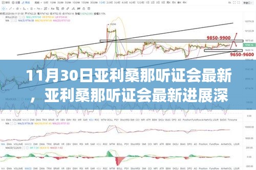 亚利桑那听证会最新进展深度解析（11月30日版，最新消息与解析）