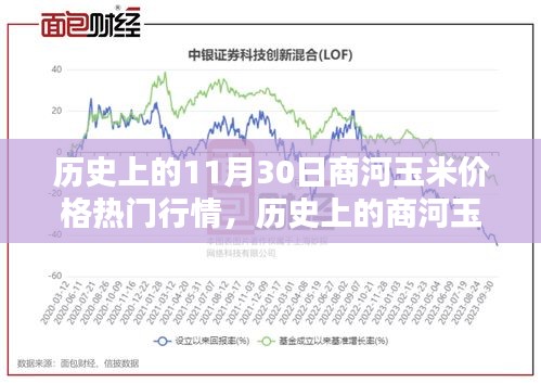 商河玉米价格行情解析，历史走势与未来预测指南