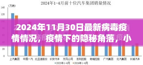 疫情下的隐秘角落，小巷特色小店与最新病毒疫情情报揭秘（2024年11月30日）