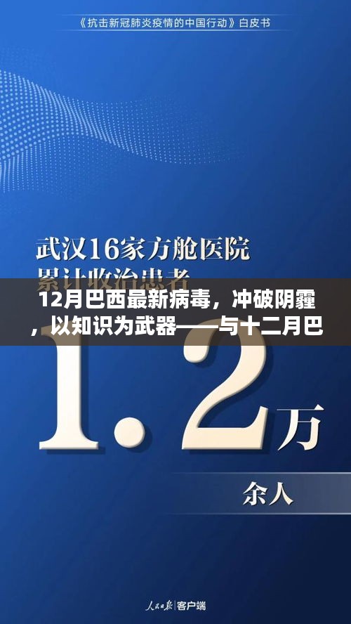 与十二月巴西最新病毒共舞，挑战与机遇并存，知识为武器冲破阴霾