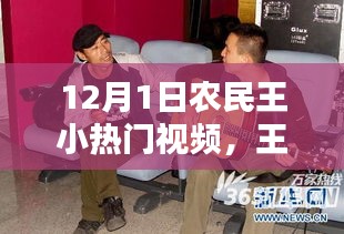 12月暖阳下的欢乐田野，王小农民的趣味日常