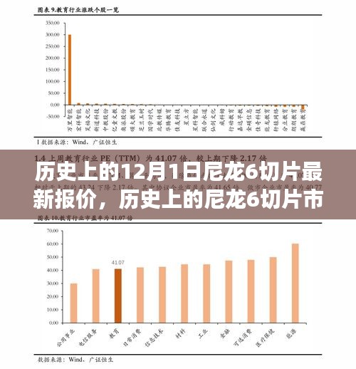 历史上的尼龙6切片市场动态与最新报价解析，获取明智决策的关键信息