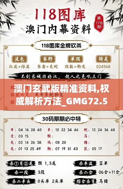 澳门玄武版精准资料,权威解析方法_GMG72.521复兴版