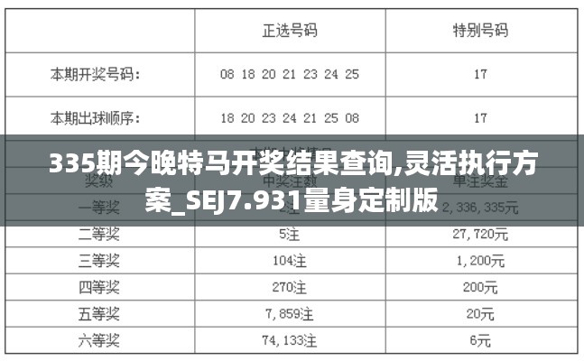 335期今晚特马开奖结果查询,灵活执行方案_SEJ7.931量身定制版