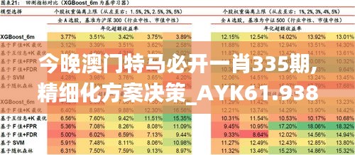 今晚澳门特马必开一肖335期,精细化方案决策_AYK61.938沉浸版