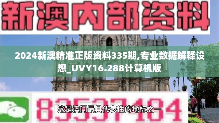 2024新澳精准正版资料335期,专业数据解释设想_UVY16.288计算机版