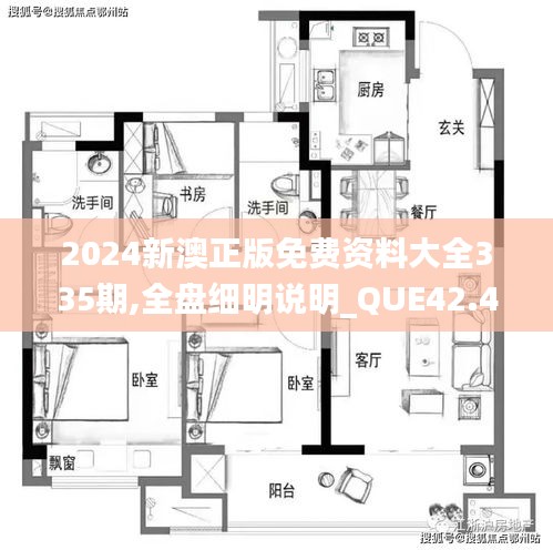 2024新澳正版免费资料大全335期,全盘细明说明_QUE42.478智慧共享版