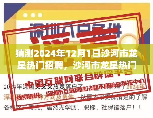 沙河市龙星热门招聘展望，深度测评与未来趋势预测（2024年）