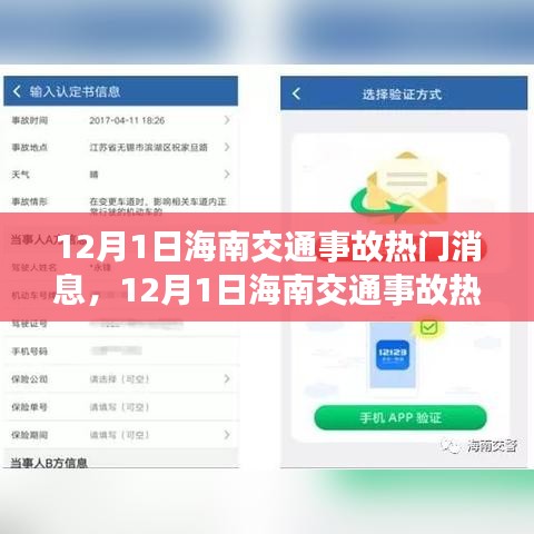 海南交通事故最新消息深度解析与关注安全出行