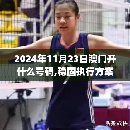 2024年11月23日澳门开什么号码,稳固执行方案计划_HHG47.524经典版