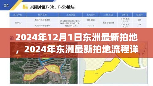 东洲最新拍地流程详解，从零起步到成功竞拍的完整指南（2024年）