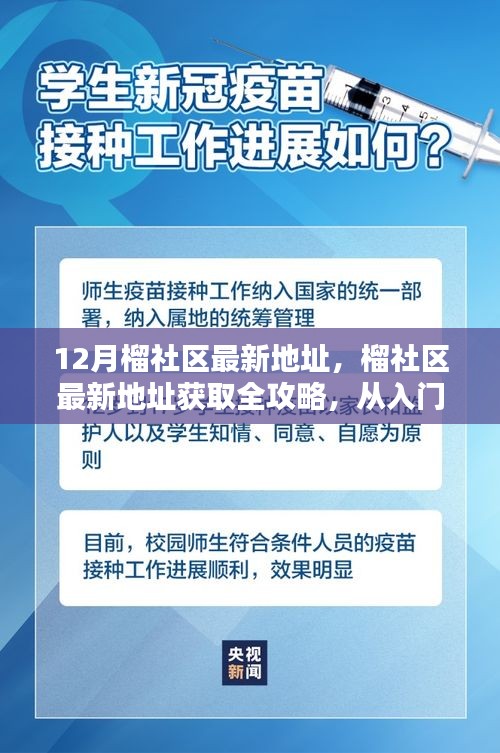 榴社区最新地址获取全攻略，从入门到精通的步骤指南