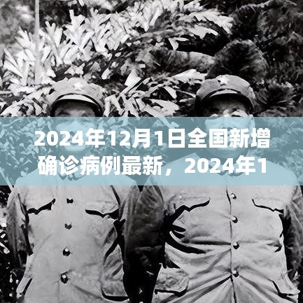 2024年12月1日全国新增确诊病例最新分析与观察，疫情动态及应对策略