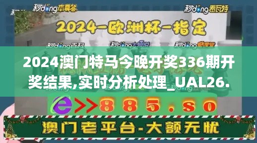 2024澳门特马今晚开奖336期开奖结果,实时分析处理_UAL26.189方便版