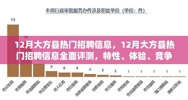 12月大方县热门招聘信息详解，特性、体验、竞争分析与目标用户群体全面剖析