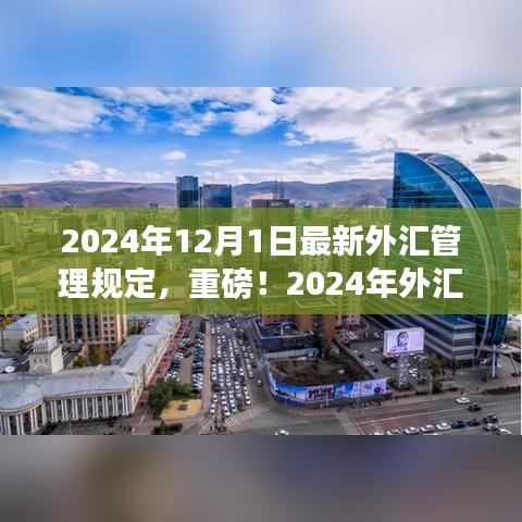 重磅！2024年外汇管理新规出炉，详解最新规定及变化