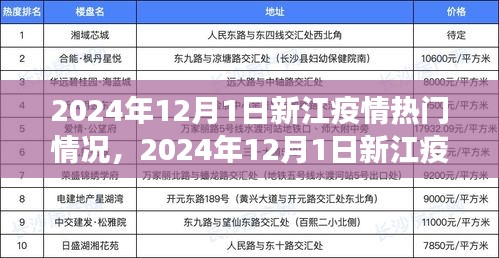 2024年12月1日新江疫情热门情况详解与应对指南，初学者与进阶用户必备知识