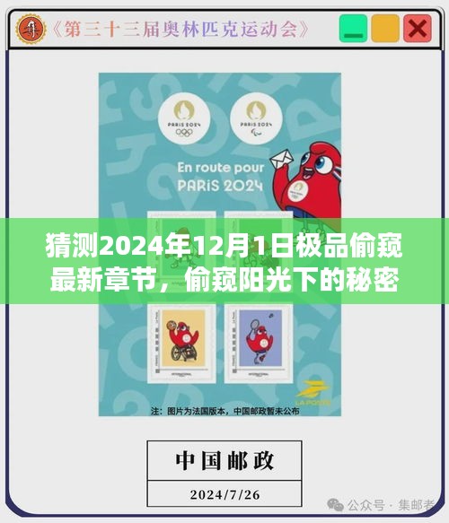 2024年12月1日极品偷窥，阳光下的秘密与温馨日常