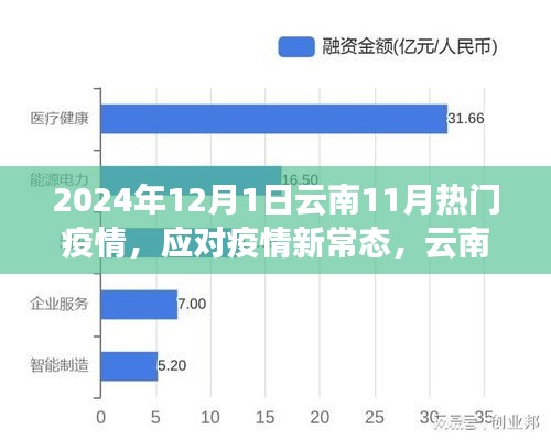 云南热门疫情应对策略指南，初学者与进阶用户必备指南（2024年疫情新常态下）