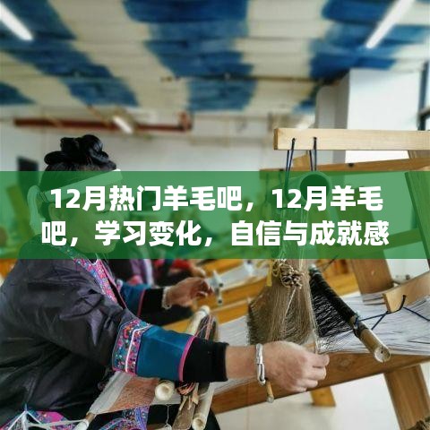 织梦工坊，12月羊毛吧的学习变化与自信成就感的织造之旅