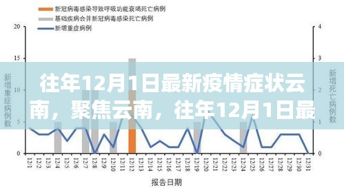 云南疫情最新动态，往年12月1日疫情症状深度解析