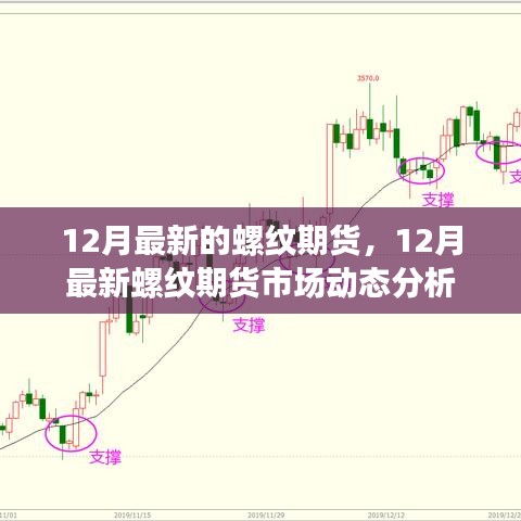 12月最新螺纹期货市场动态分析与趋势预测