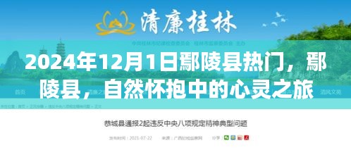 鄢陵县，自然怀抱的心灵之旅，奇妙探险启程于2024年12月1日