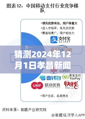 孝昌未来展望，解读发展趋势，预测孝昌新闻走向至2024年12月1日展望报告