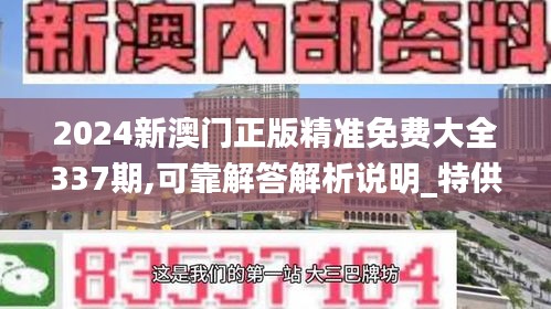 2024新澳门正版精准免费大全337期,可靠解答解析说明_特供款53.106-2