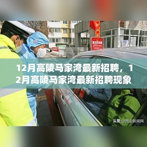 12月高陵马家湾最新招聘现象解析，影响与观点探讨