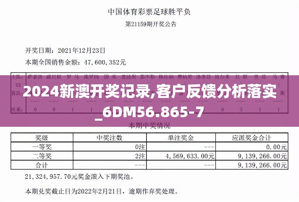 2024新澳开奖记录,客户反馈分析落实_6DM56.865-7