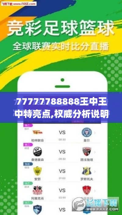 77777788888王中王中特亮点,权威分析说明_Superior40.512-4