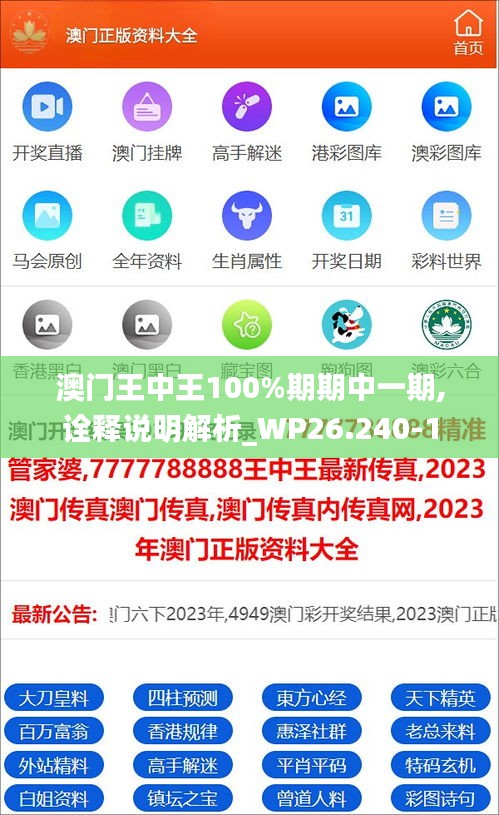 澳门王中王100%期期中一期,诠释说明解析_WP26.240-1