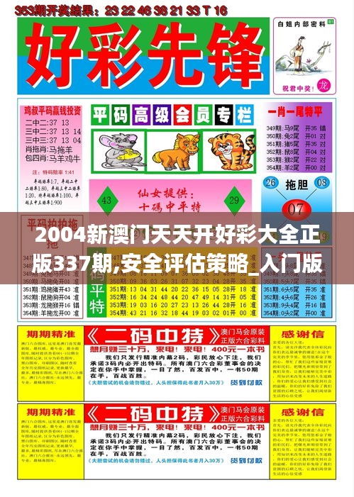 2004新澳门天天开好彩大全正版337期,安全评估策略_入门版77.103-4