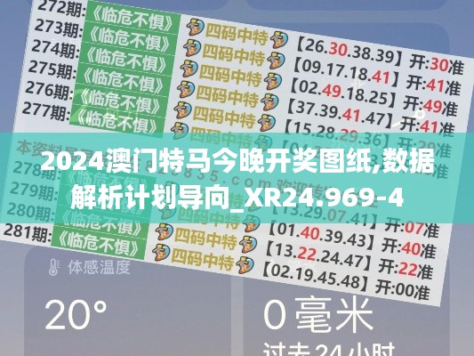 2024澳门特马今晚开奖图纸,数据解析计划导向_XR24.969-4